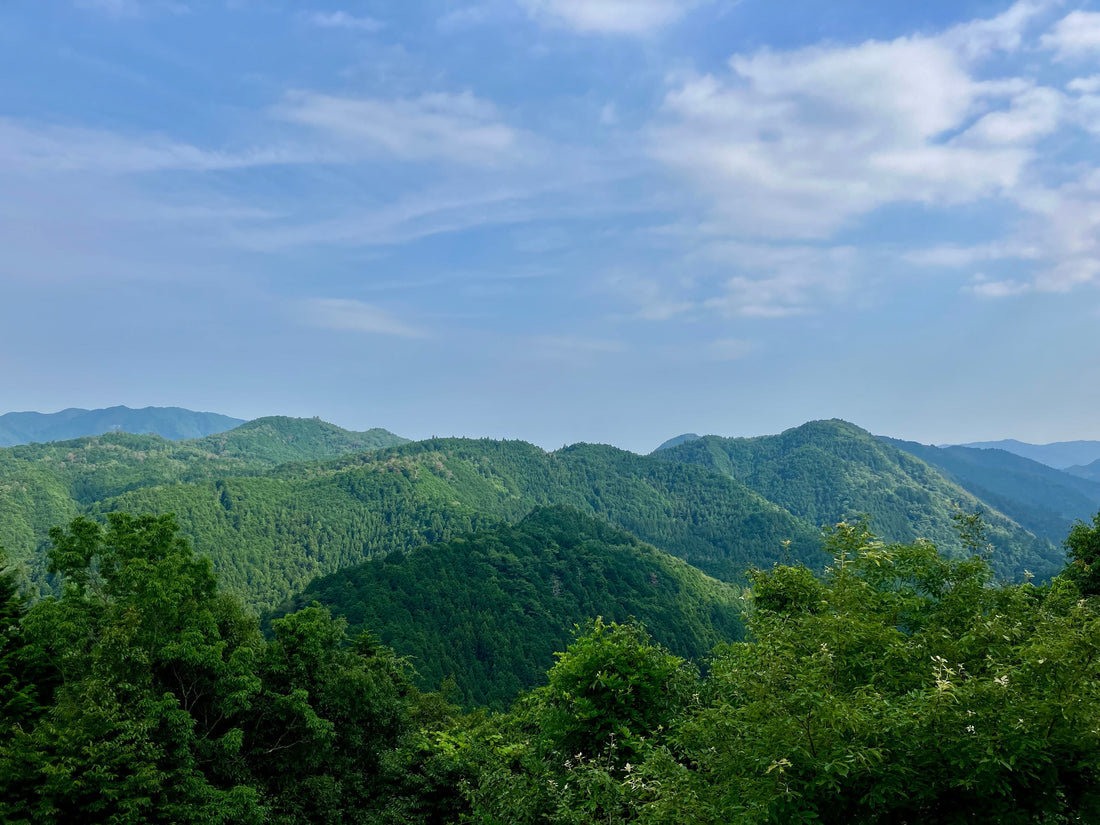 Off the beaten track forever, why Okumikawa is safe from huge crowds