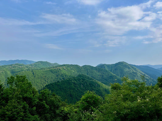 Off the beaten track forever, why Okumikawa is safe from huge crowds