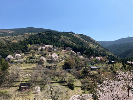 [Tour Request] Atera countryside life tour