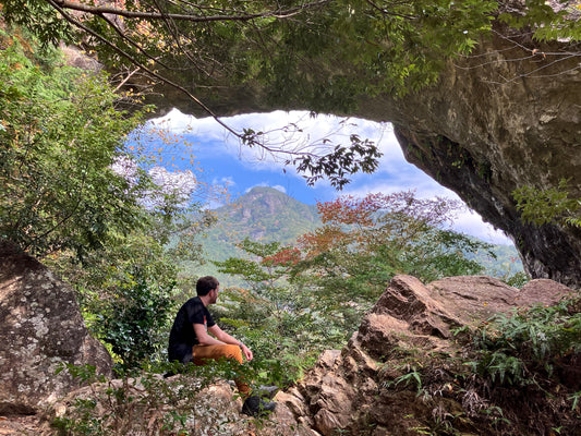 [Tour Request] Custom guided tour