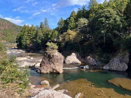 [Booking Request] Mochizuki Kaido