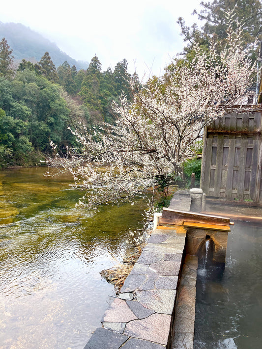 [Booking Request] Ryoso Mitsui Ryokan