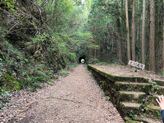 [Booking Request] Abandoned Okusa train station